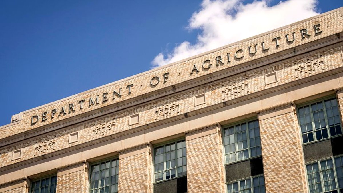 Grants vs. Contracts: RFPs and RFQs